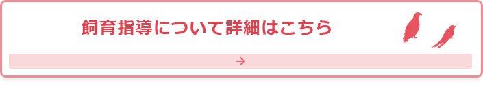 飼育指導について詳細はこちら